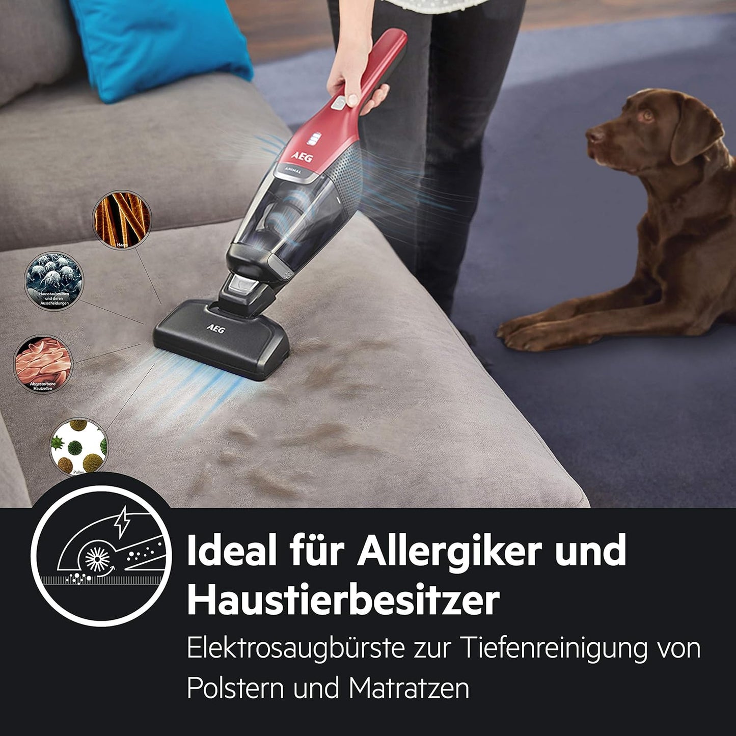 AEG Ergorapido 2in1 Akku Staubsauger, Beutellos, inkl. Tierhaardüse, bis zu 45 Min. Laufzeit, Freistehend, 180° Drehgelenk, Bürstenreinigungsfunktion, LED-Frontlichter, Rot, CX7-2-45AN